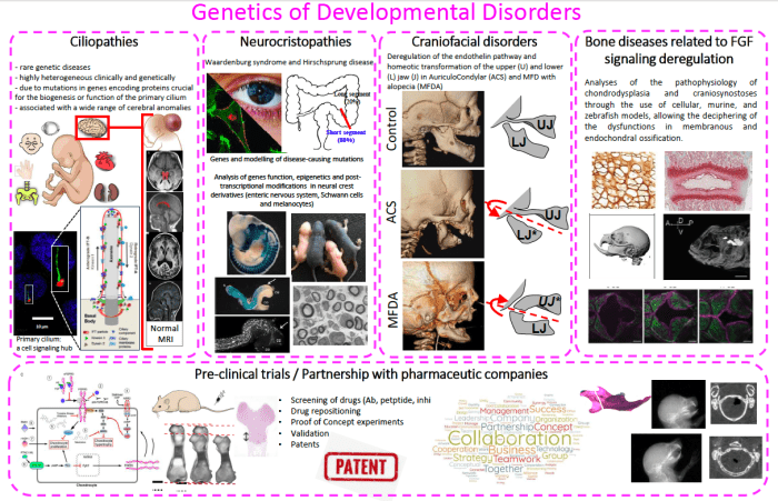 Genetics of developmental Disorders
